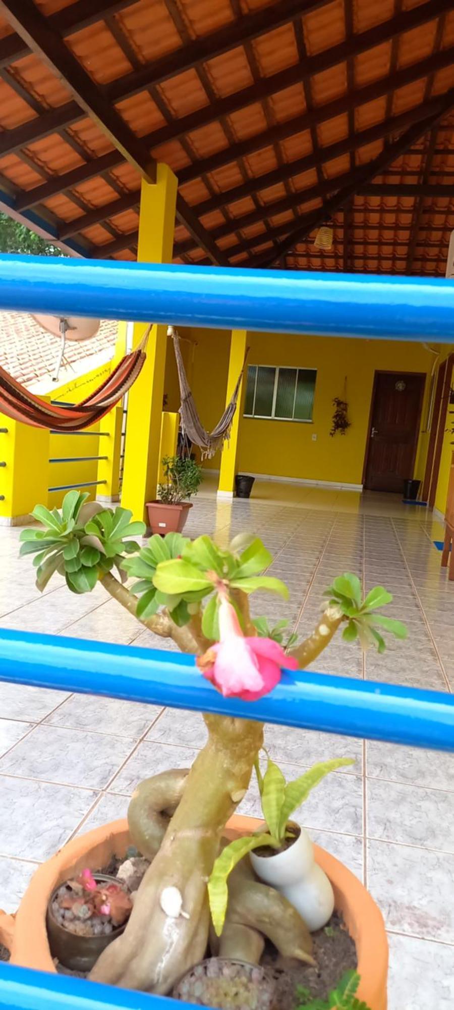 Casa Da Vila - Hospedaria - 3 Min Do Centrinho De Alter Алтер-ду-Шан Екстер'єр фото